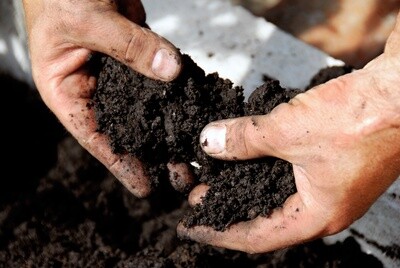 Compost