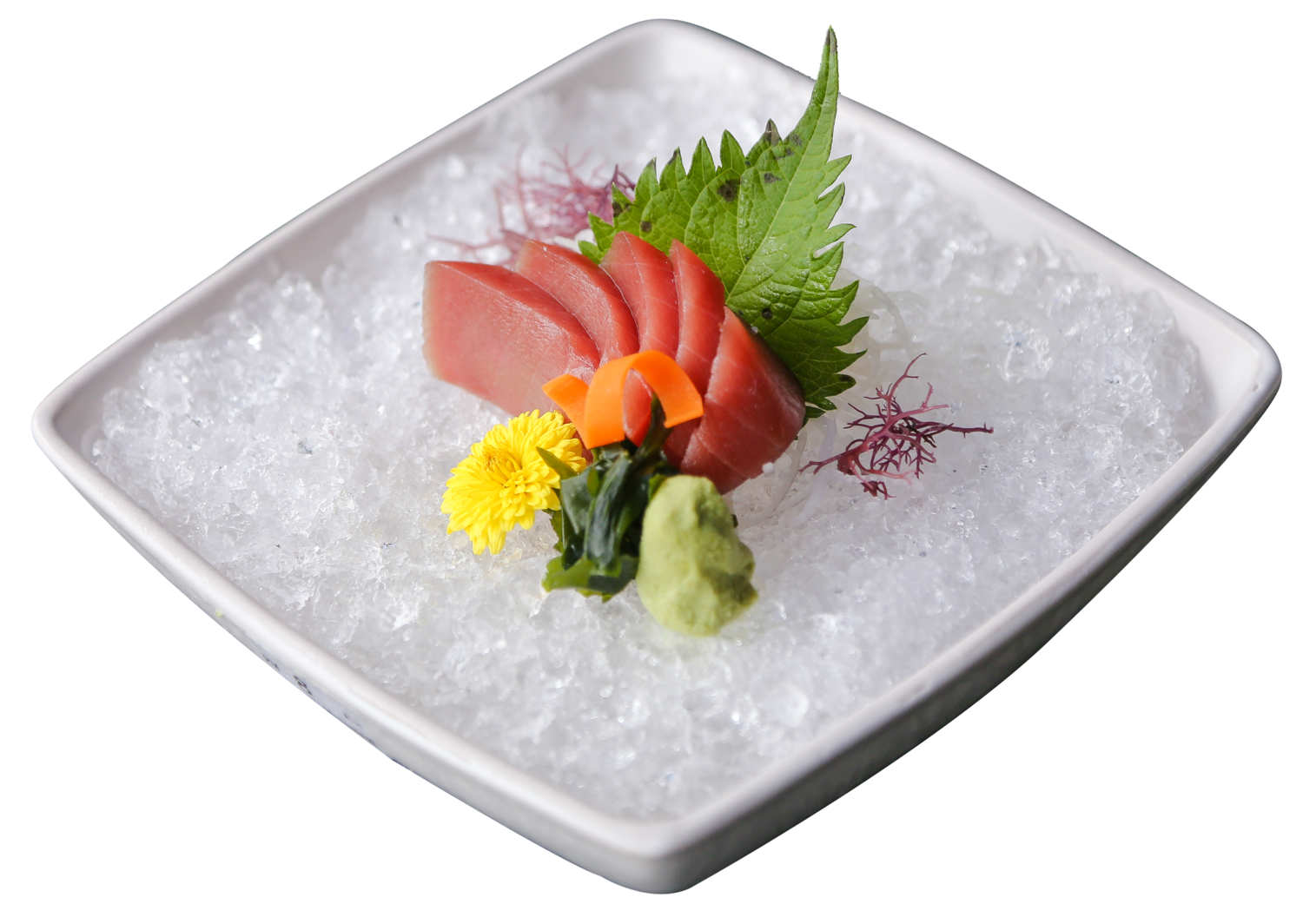 Maguro