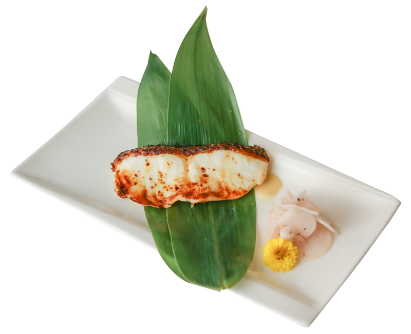 Gindara Shioyaki / Teriyaki