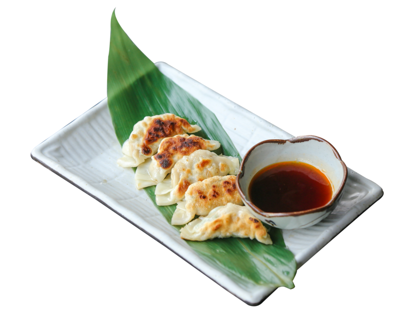 Chicken Gyoza