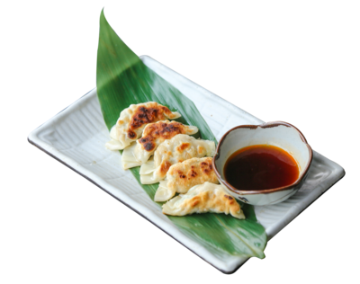 Chicken Gyoza