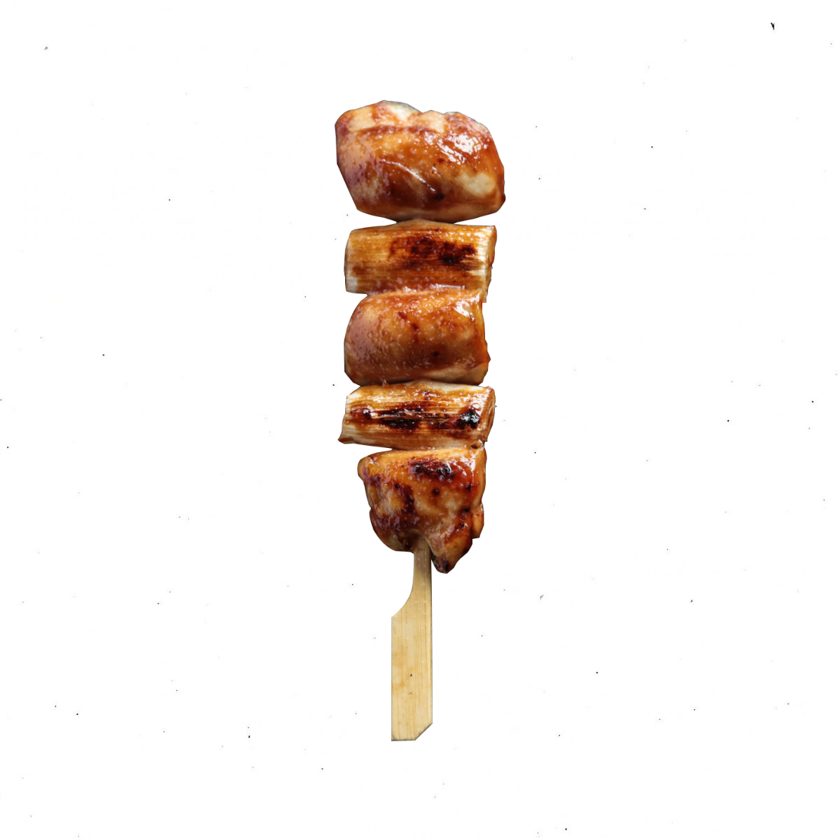 Negima