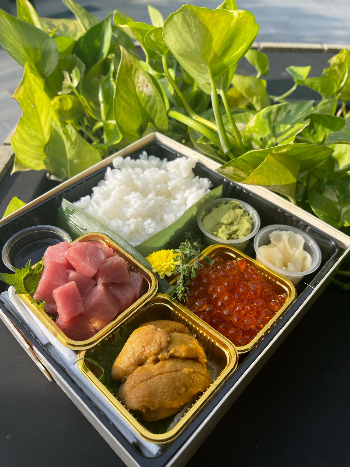 Sushi Chef Starter Kit