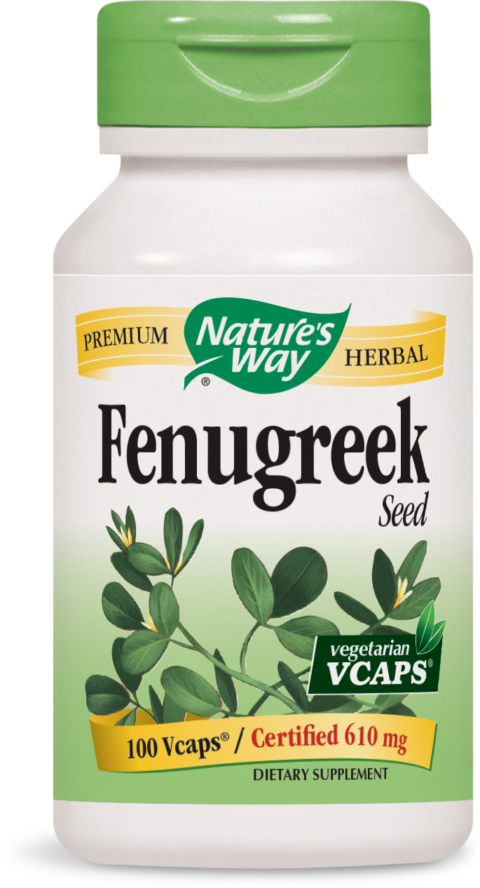 Fenugreek Seed Fenugreek Seed