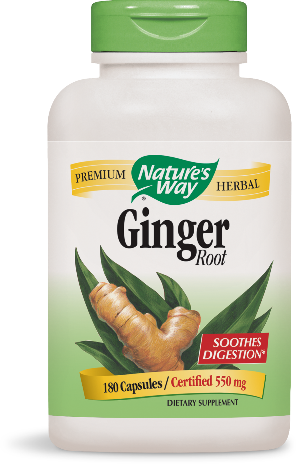 Ginger Root Ginger Root