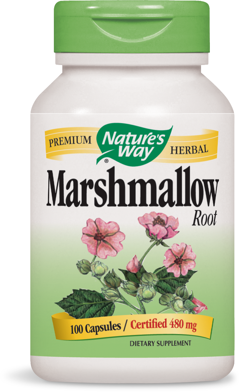 Marshmallow Root Marshmallow Root