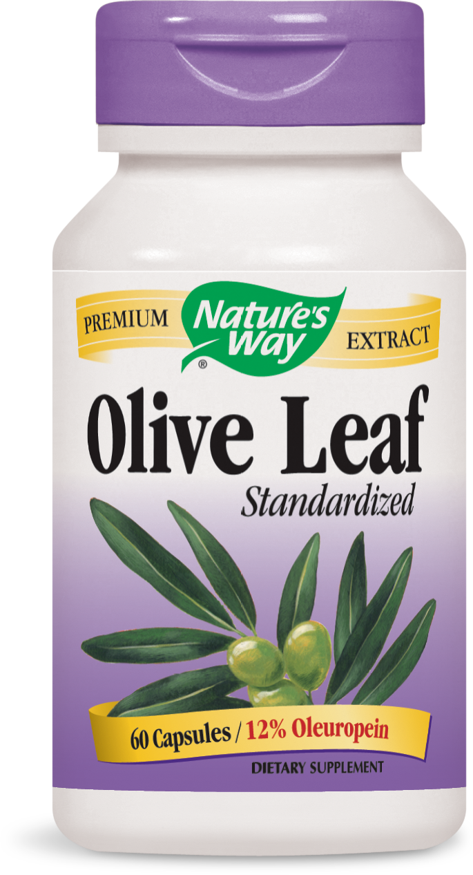 Olive Leaf Standardized Olive Leaf Standardized