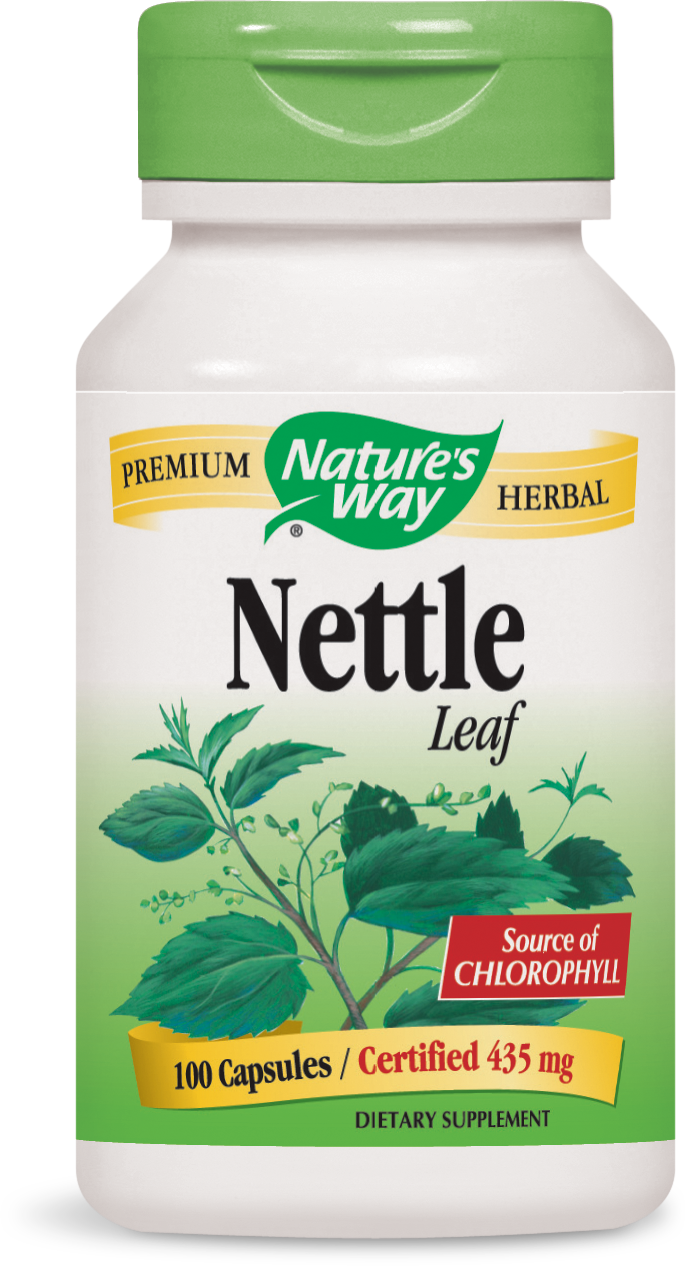 Nettle Leaf Nettle Leaf