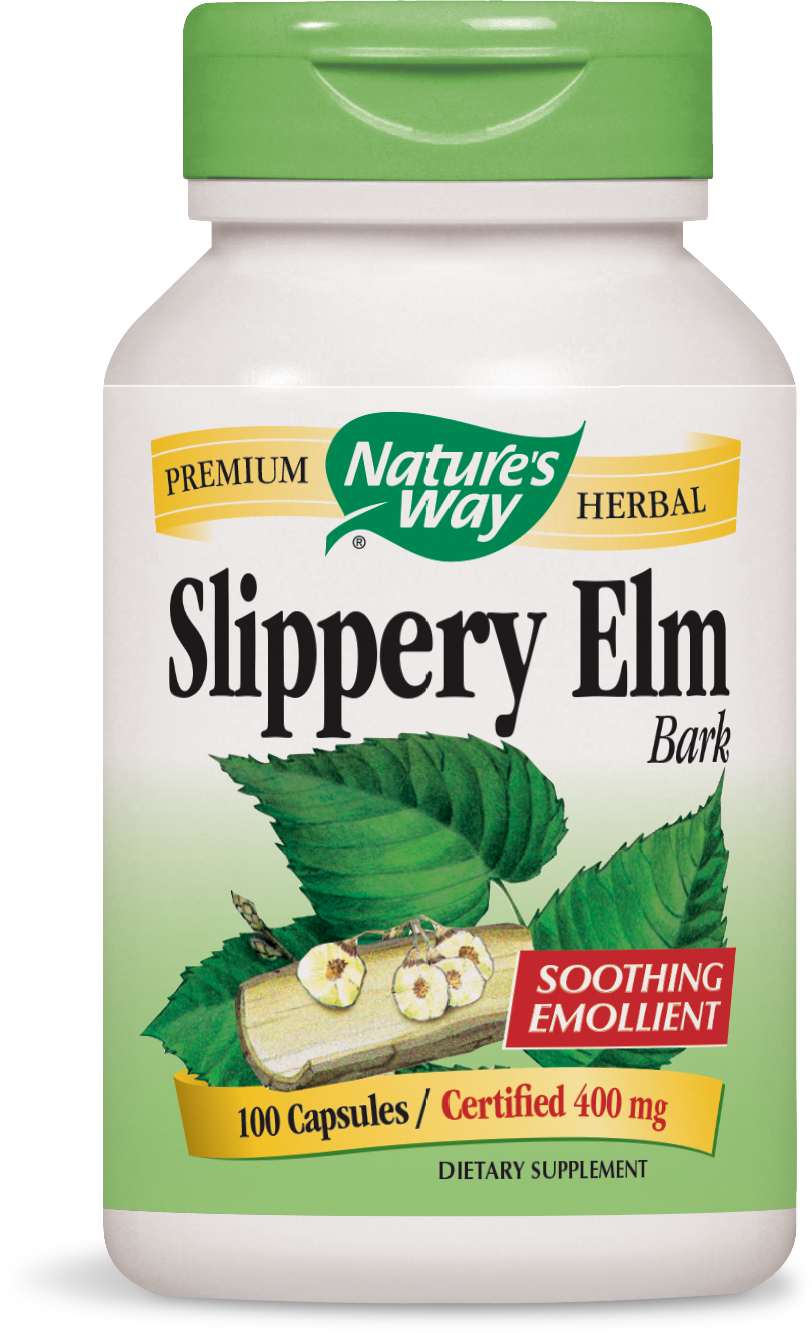 Slippery Elm Bark Slippery Elm Bark
