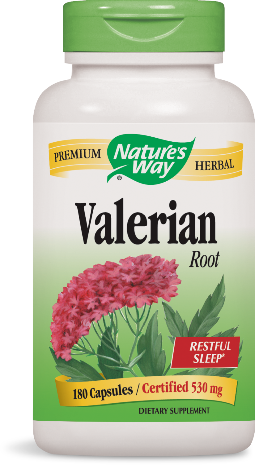 Valerian Root Valerian Root