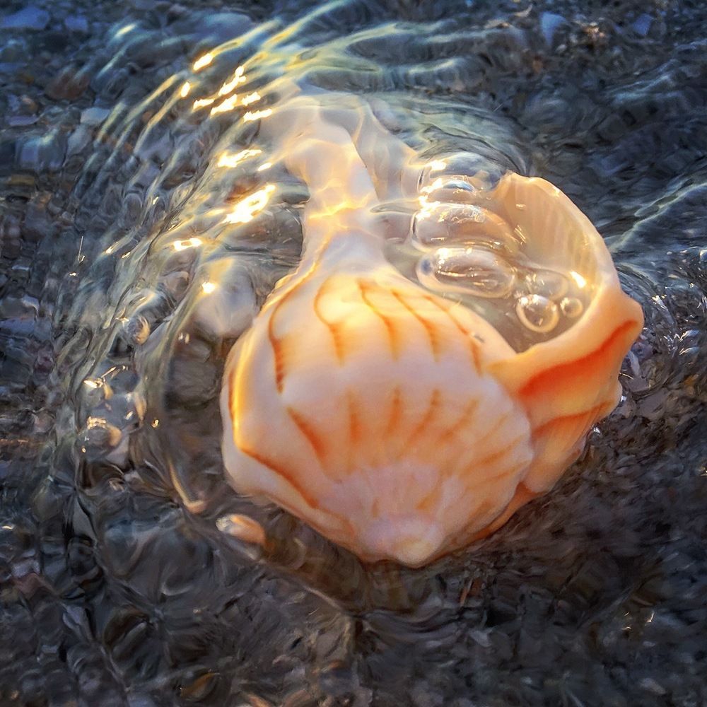 Lighting is Everything