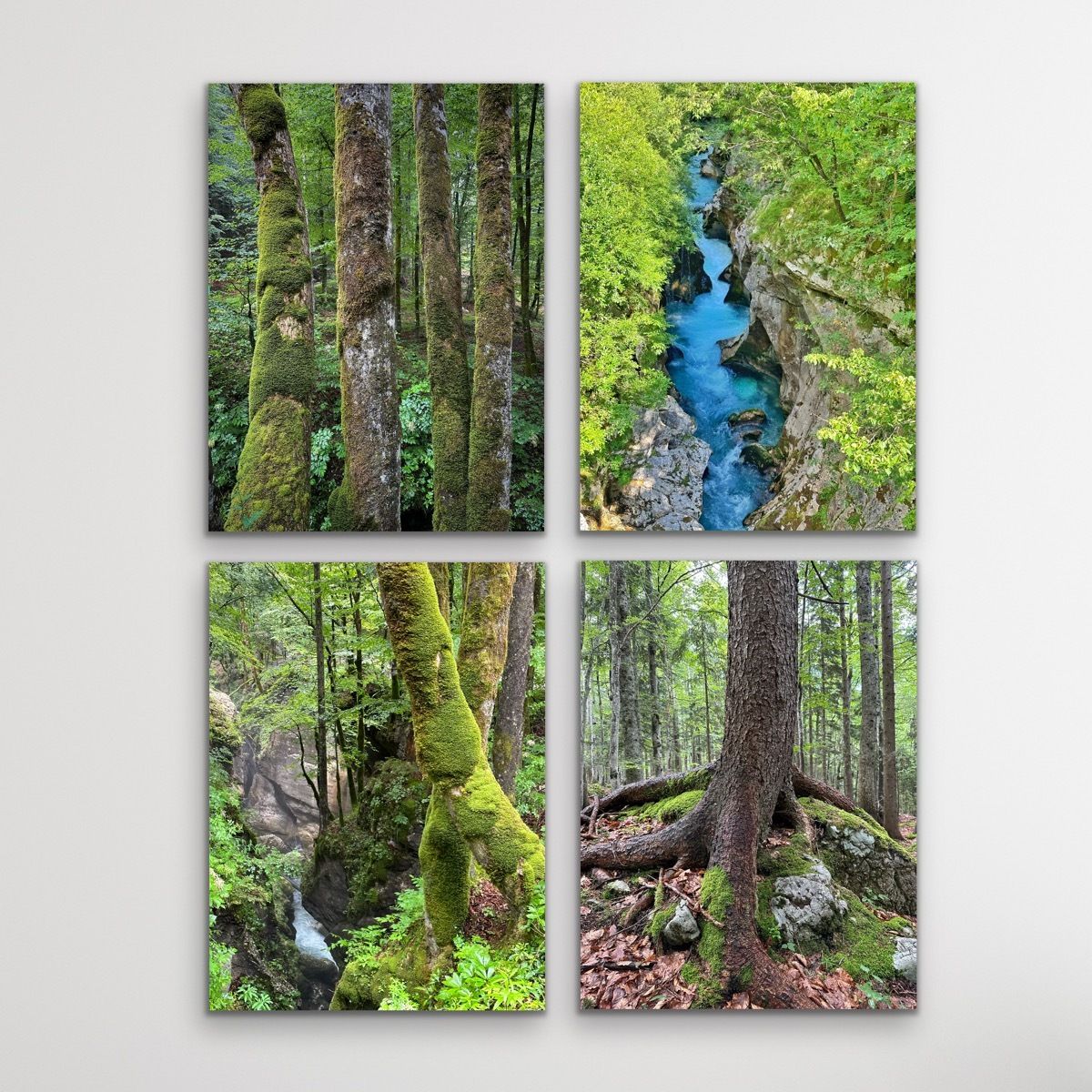 Mossy Forest (4 Prints)