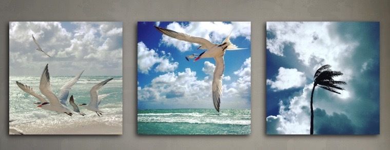 Miami Beach Days (3 Prints)