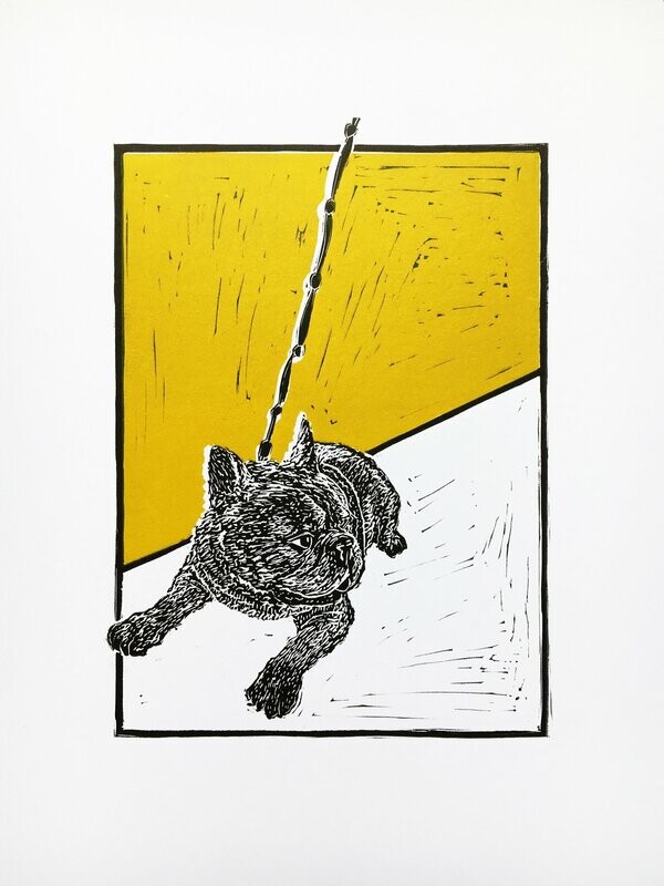 French Bulldog on Olive by Greg Millar