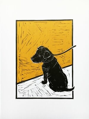 Mongrel Puppy on Mustard by Greg Millar
