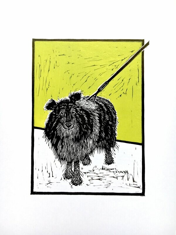 Collie on Green by Greg Millar