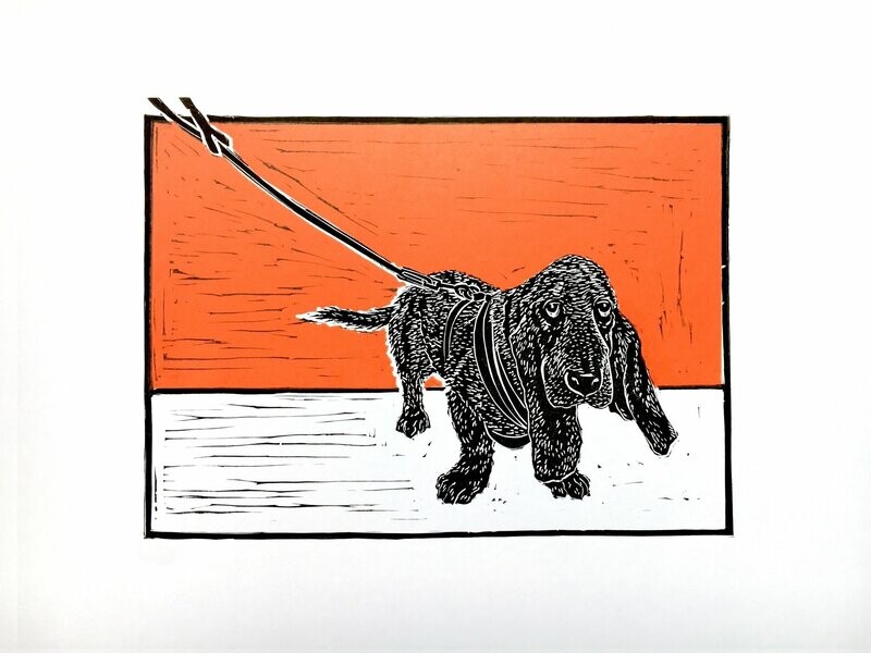 Basset Hound on Red by Greg Millar
