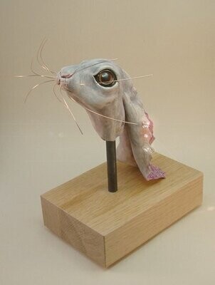 Hare with removable earrings by Michael P Young