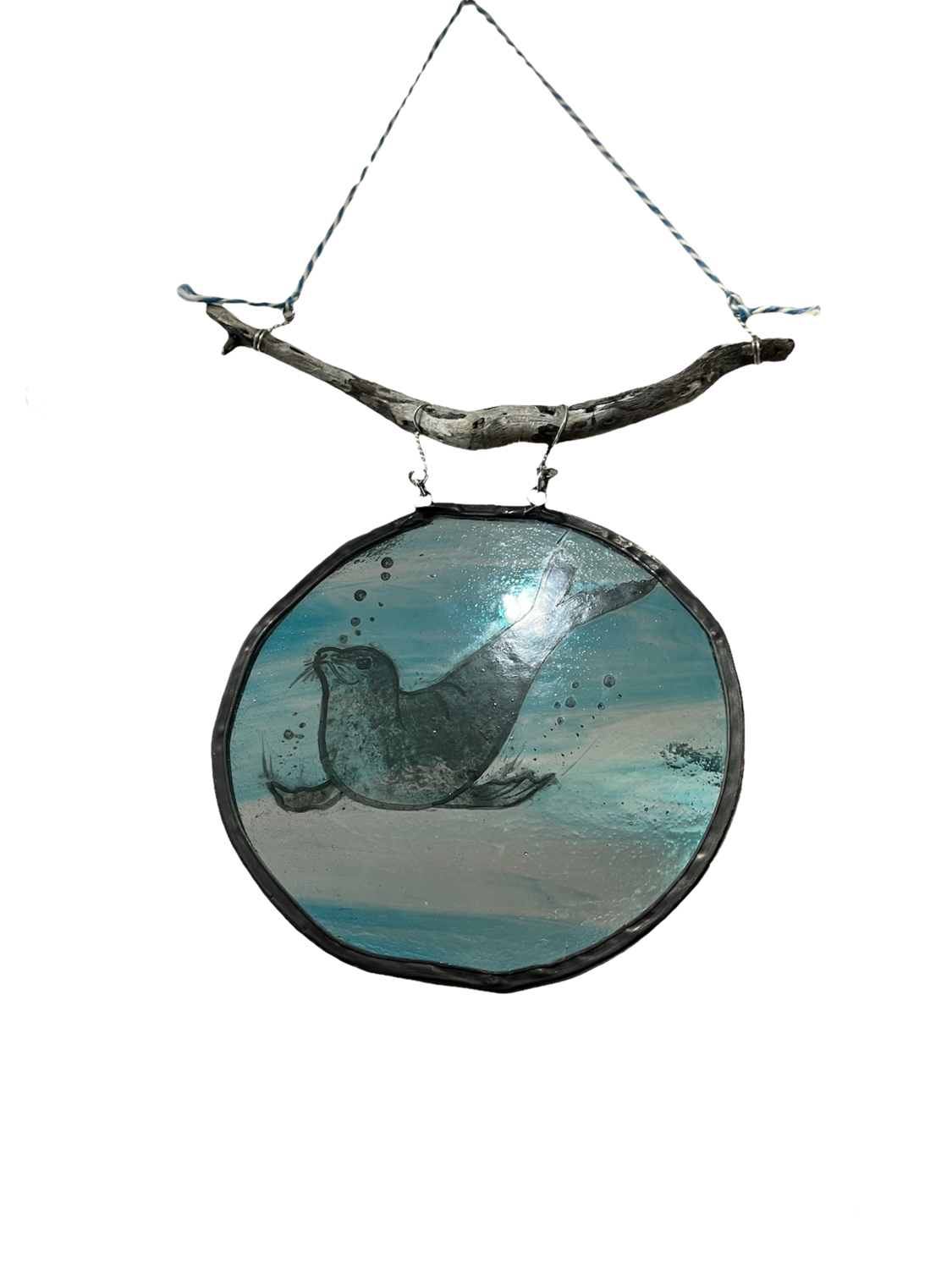 Seal circle on driftwood by Lorna C Radbourne