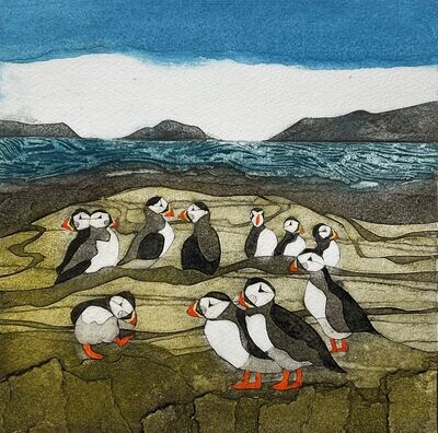 A Plethora of Puffins by Sarah Ross Thompson