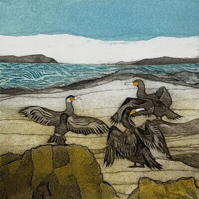 A flight of Cormorants by Sarah Ross Thompson