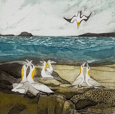 A plunging of Gannets by Sarah Ross Thompson