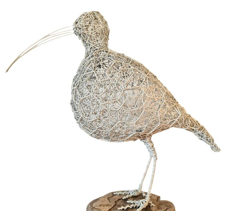 Curlew by Laura Woods