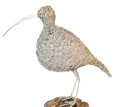 Curlew by Laura Woods