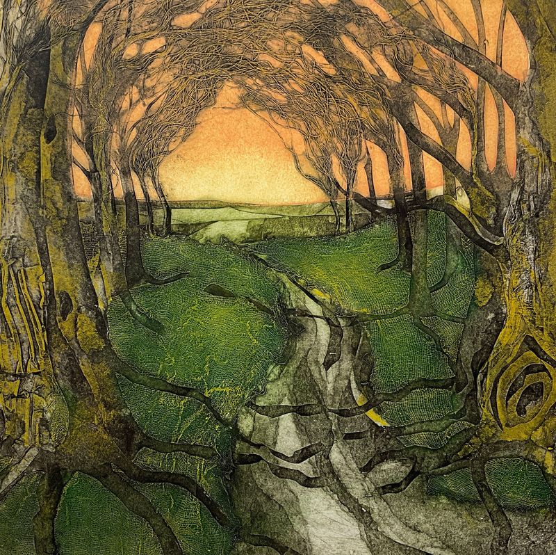 Tunnel Vision by Sarah Ross Thompson