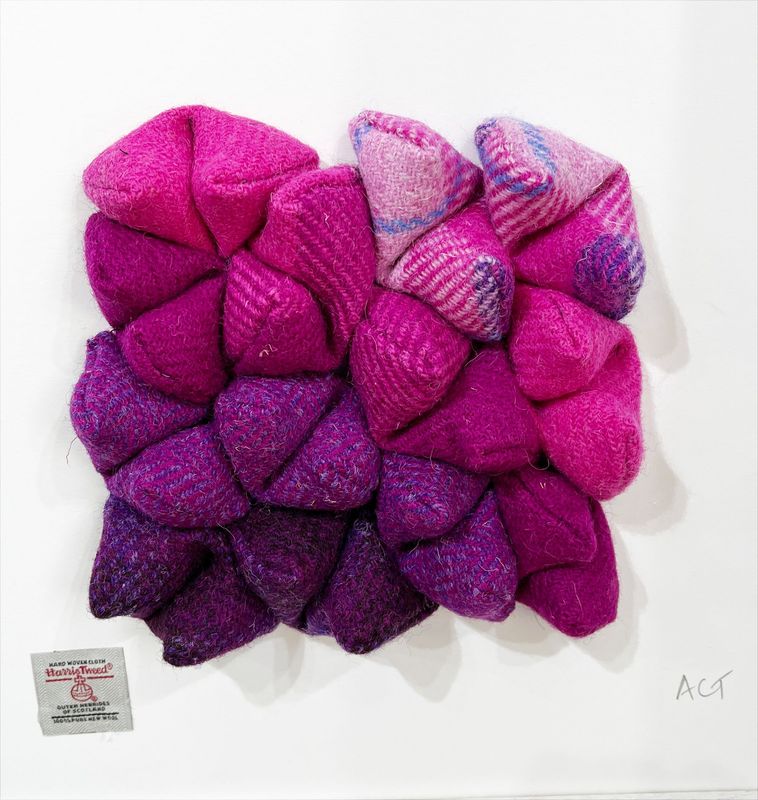 Pinks by Angela Thomson