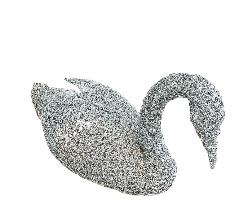 Swan by Laura Woods