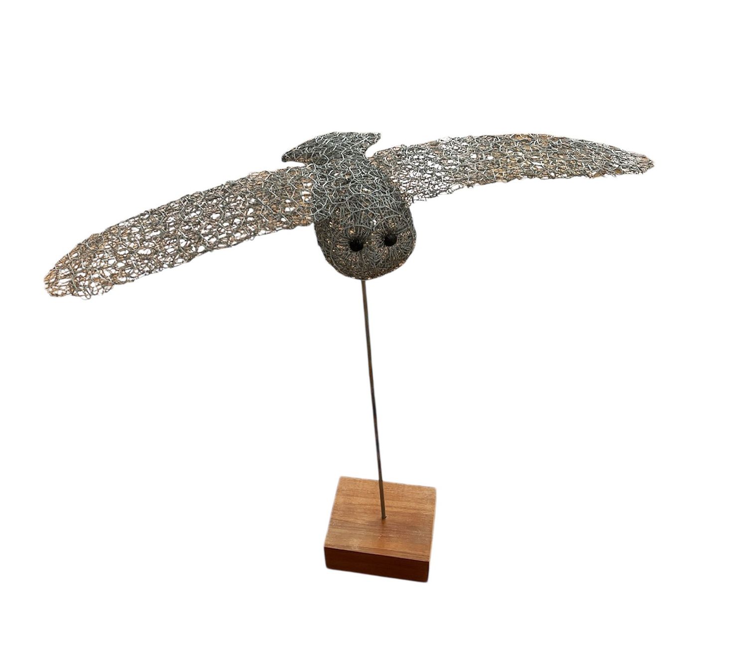 Flying Barn Owl by Laura Woods