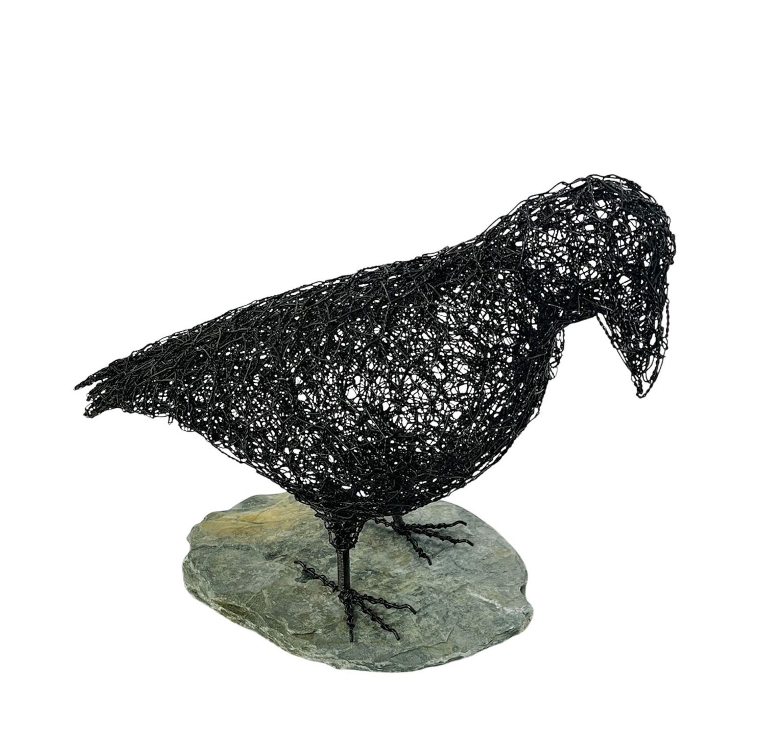 Raven by Laura Woods