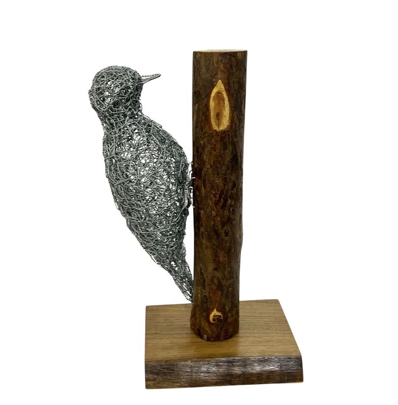 Woodpecker by Laura Woods