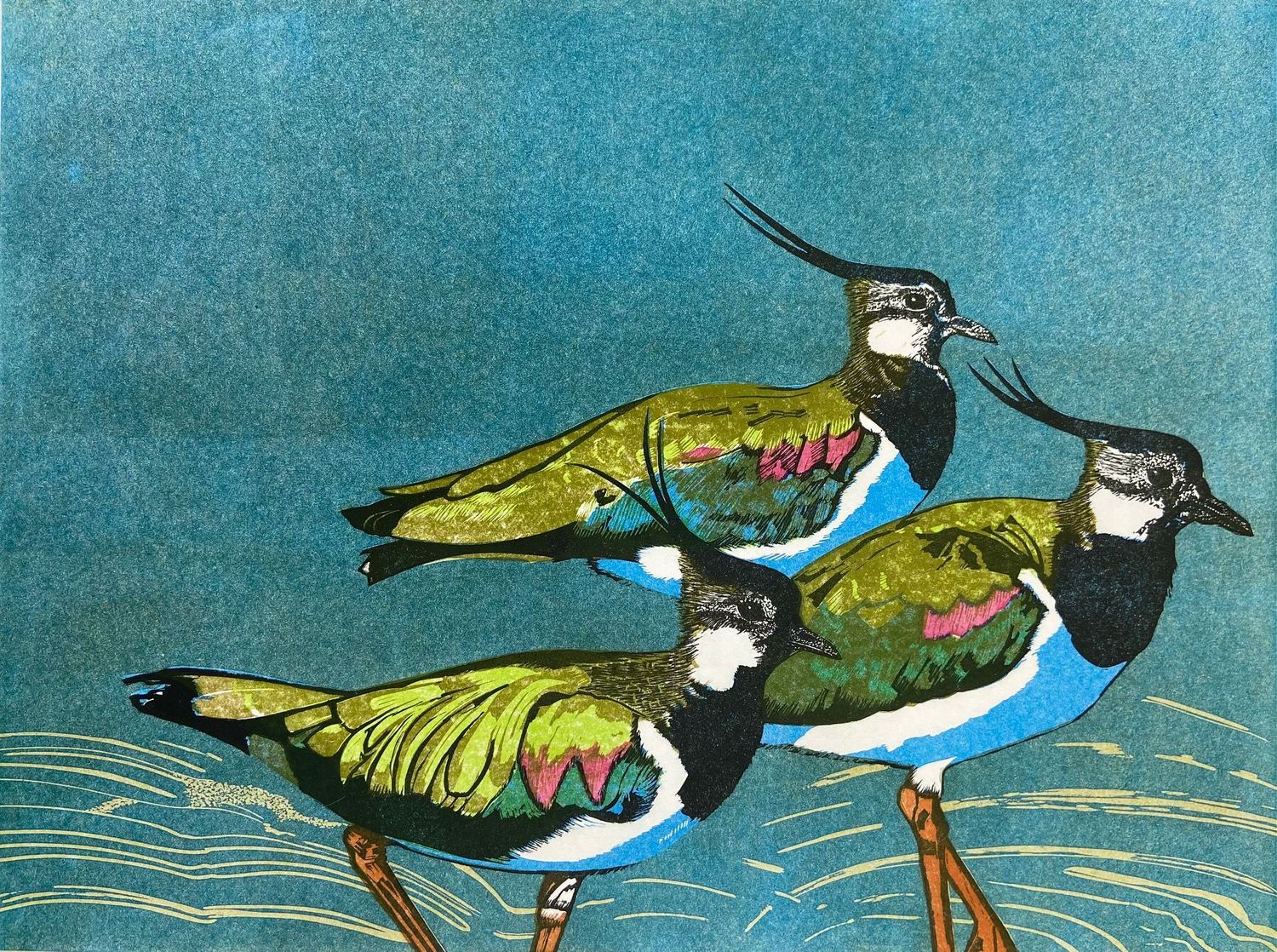 Peewits by Babs Pease