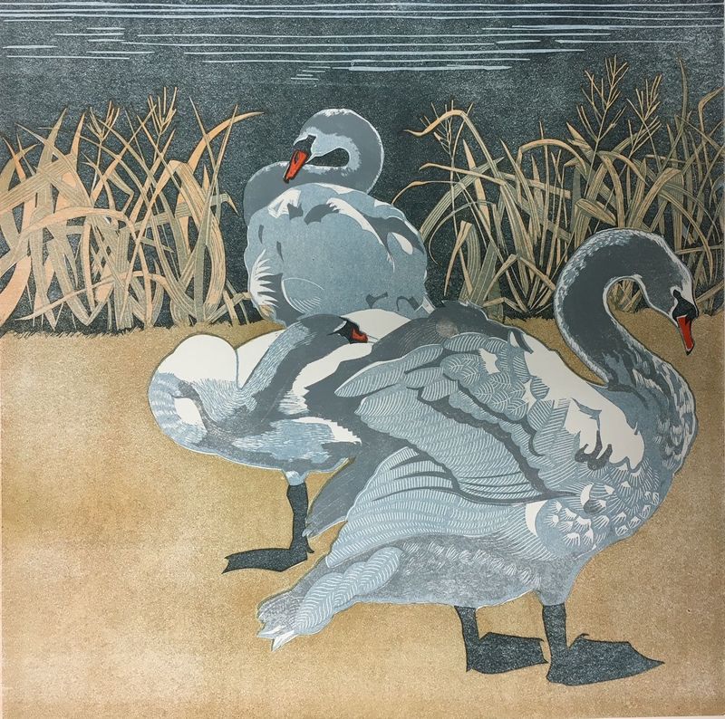 Swans by Babs Pease