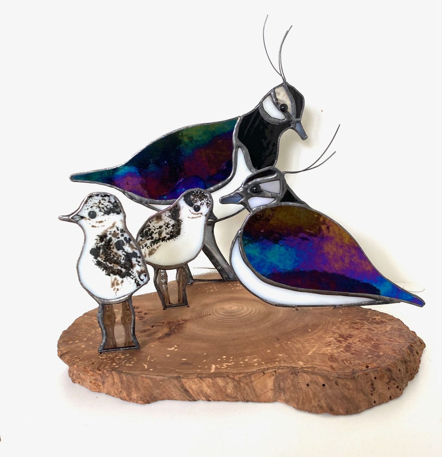 Lapwing fields by Lorna C Radbourne