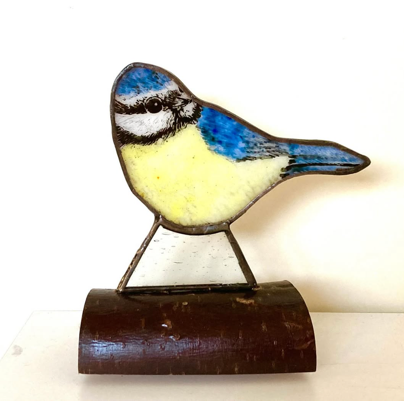 Blue tit by Lorna C Radbourne
