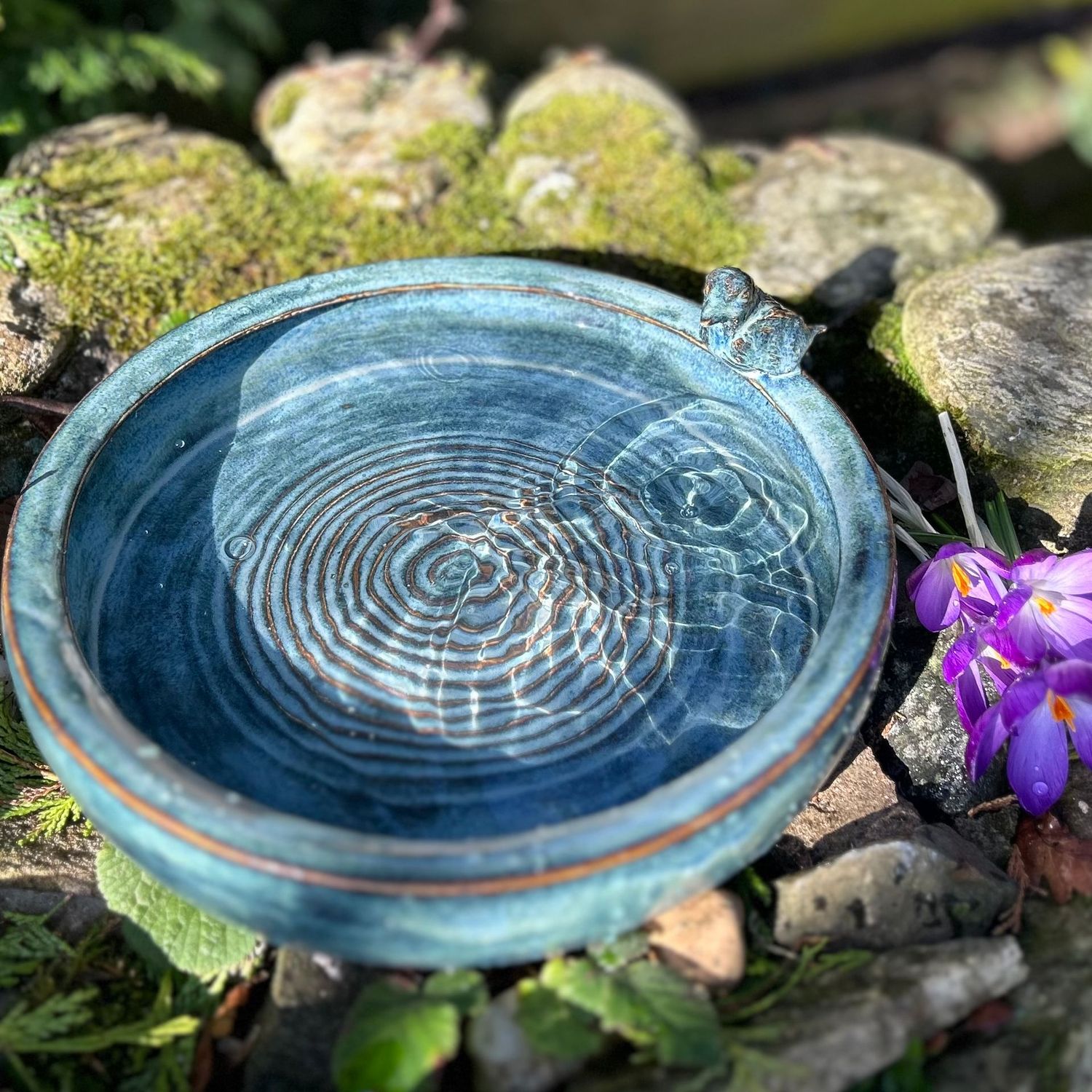Single bird birdbath by Caroline Storer