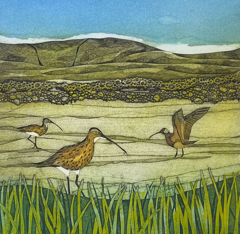 Curlews Crying by Sarah Ross Thompson
