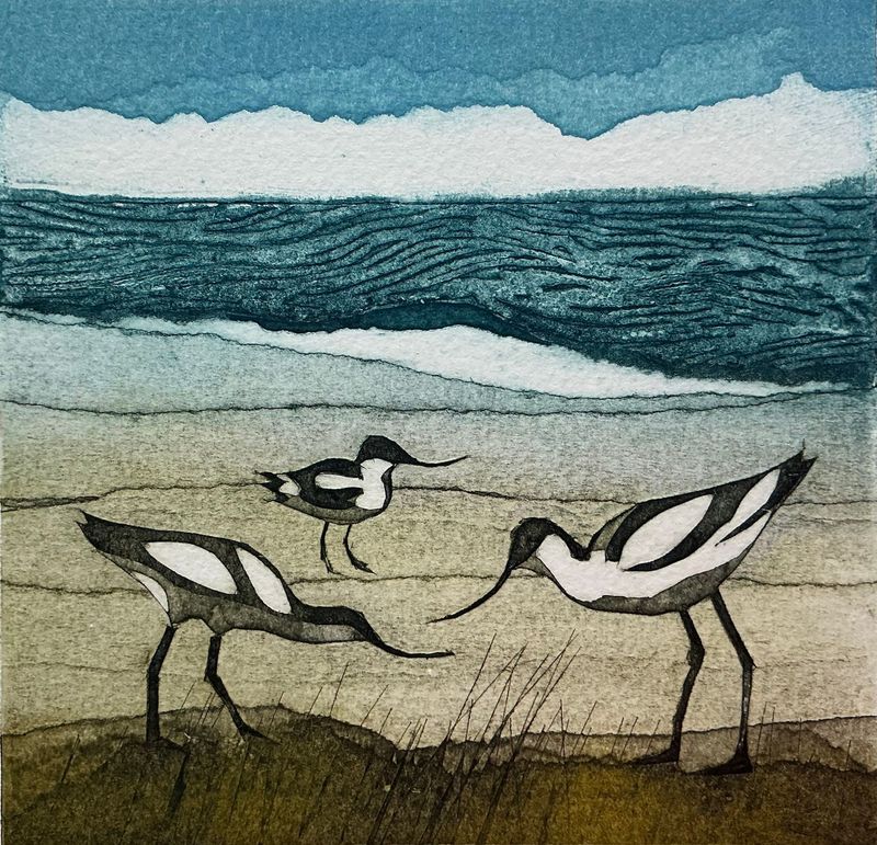 Birds of a Feather Sarah Ross Thompson