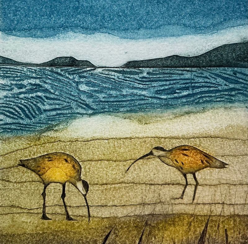 Curlews Combing Sarah Ross Thompson