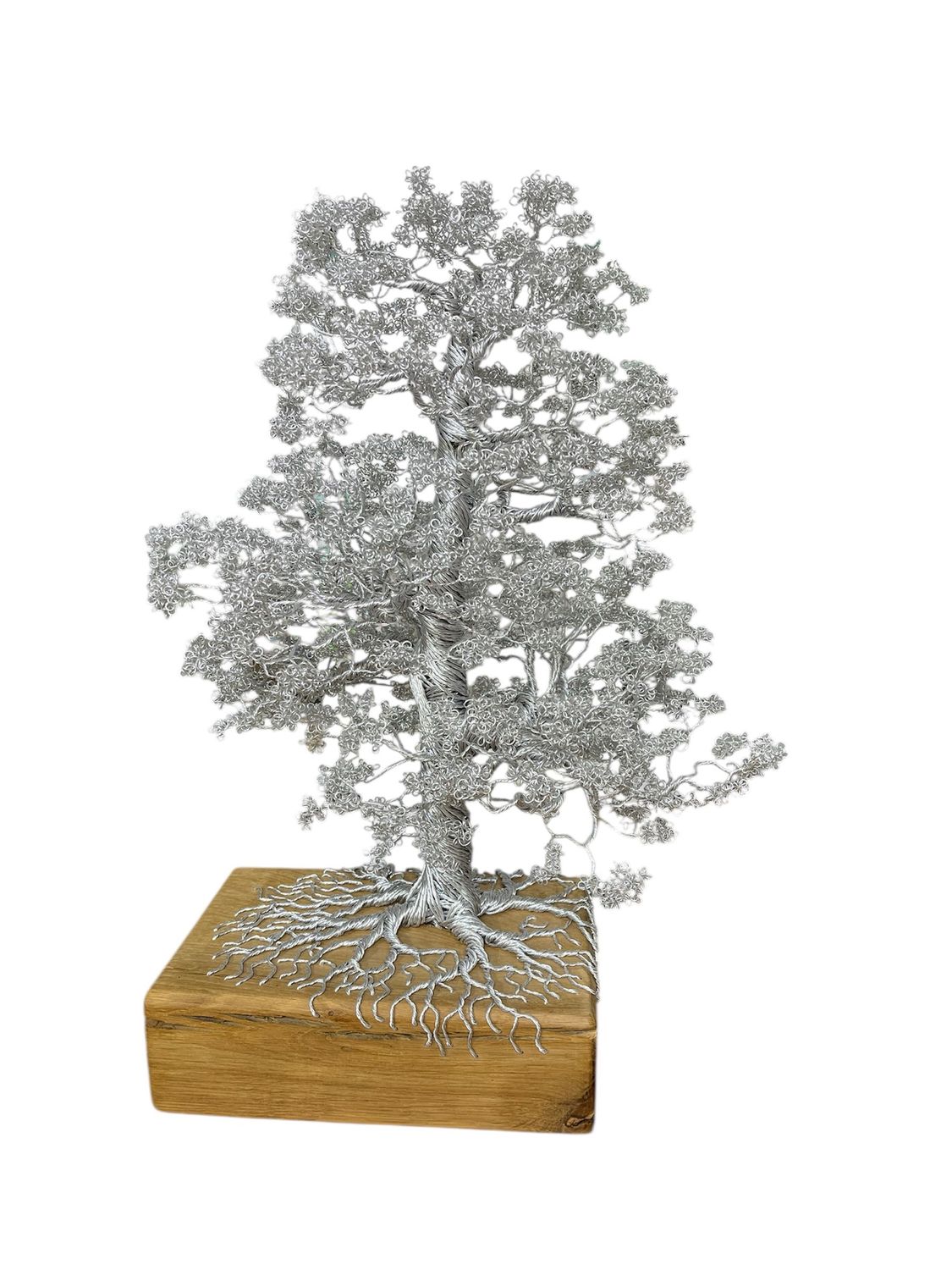Bright silver tree by Laura Woods