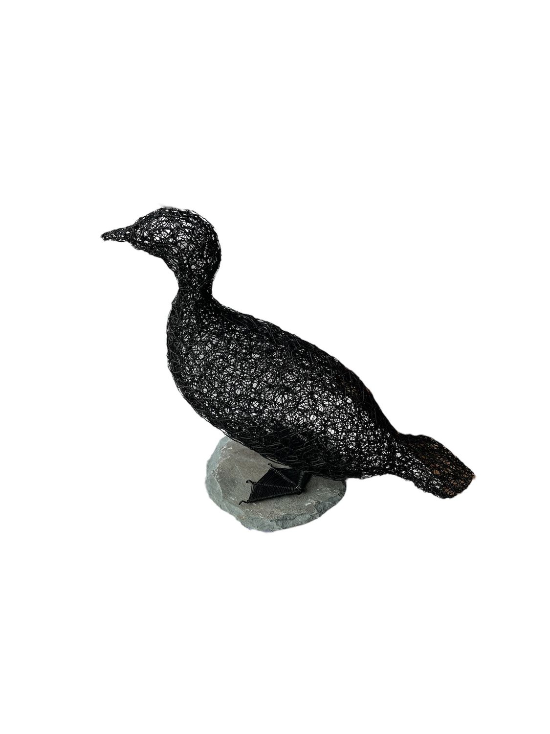 Cormorent by Laura Woods