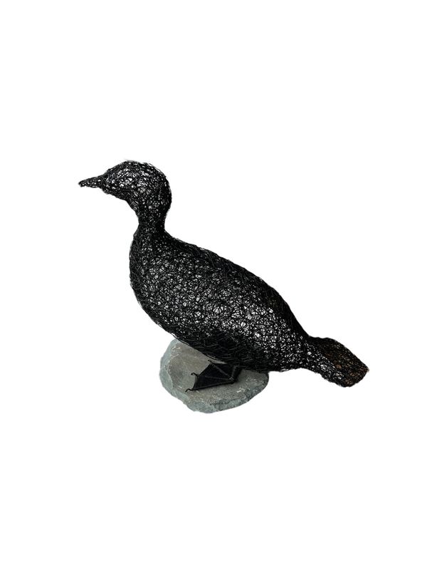 Cormorent by Laura Woods Cormorent by Laura Woods