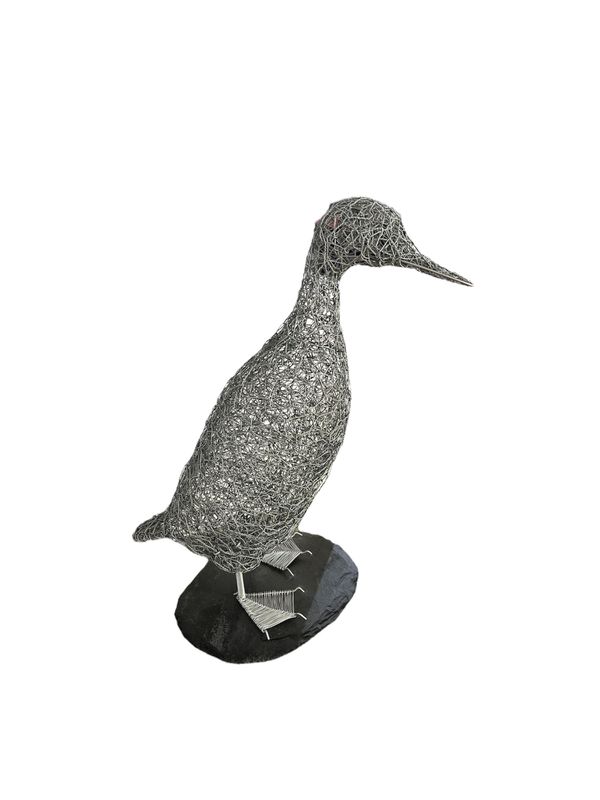 Runner Duck by Laura Woods Runner Duck by Laura Woods