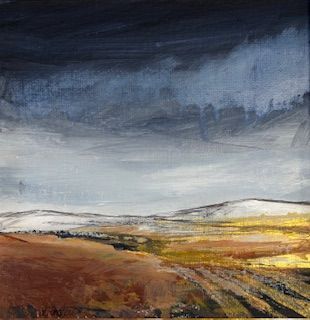 Where the storm breaks by Susie Collingbourne