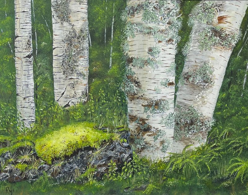 Woodland by Rochelle McConnachie Woodland by Rochelle McConnachie