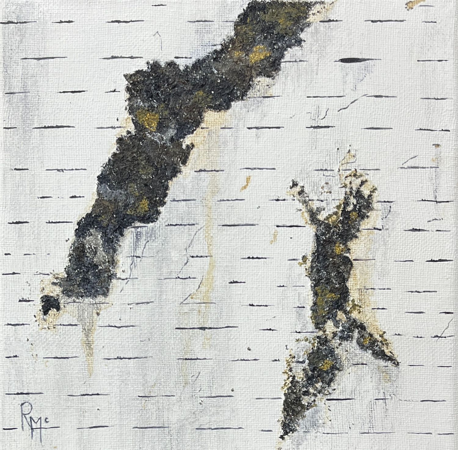 Bark IV by Rochelle McConnachie