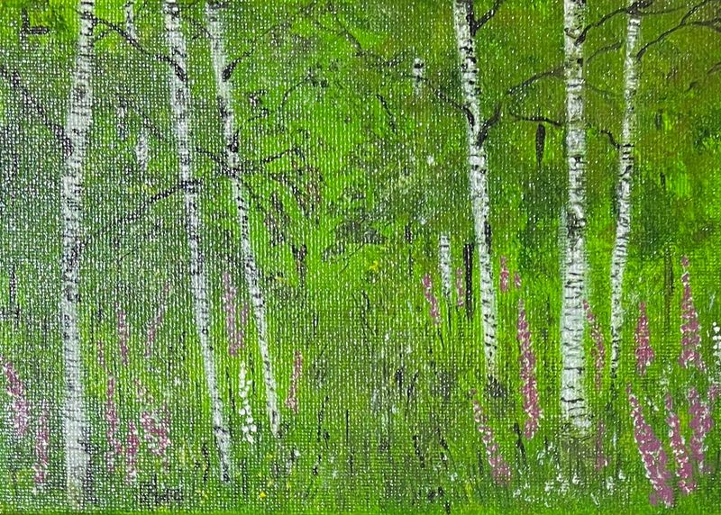 Birches & Foxgloves by Rochelle McConnachie Birches & Foxgloves by Rochelle McConnachie